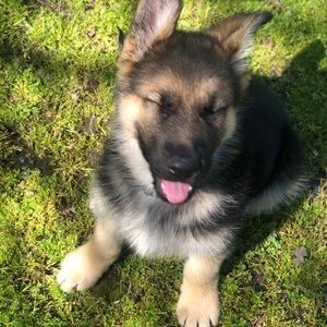 Meet your Posher, Adriana